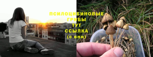 прущие грибы Богородицк
