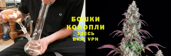 PSILOCYBIN Богородск