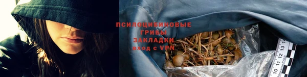 прущие грибы Богородицк