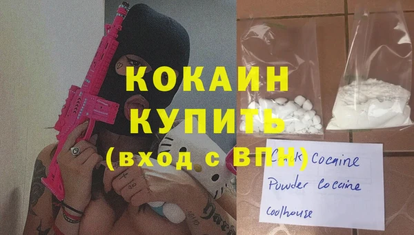 прущие грибы Богородицк