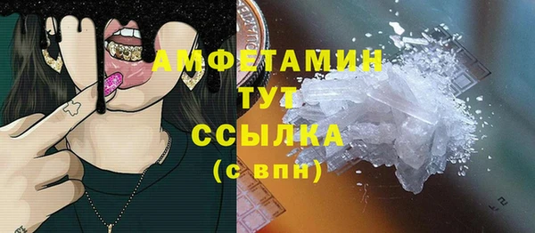 прущие грибы Богородицк