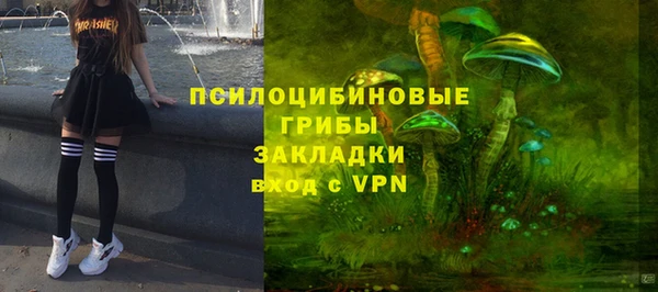 прущие грибы Богородицк