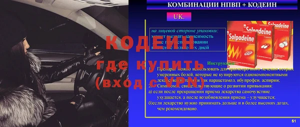 прущие грибы Богородицк