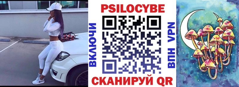 Псилоцибиновые грибы Psilocybe  Дюртюли 